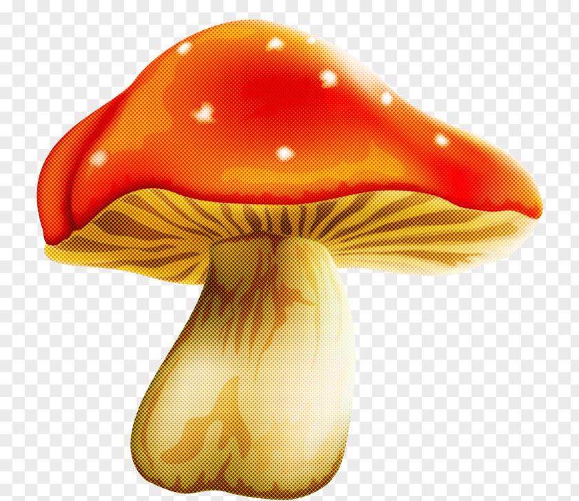 Fungus Edible Mushroom Orange PNG