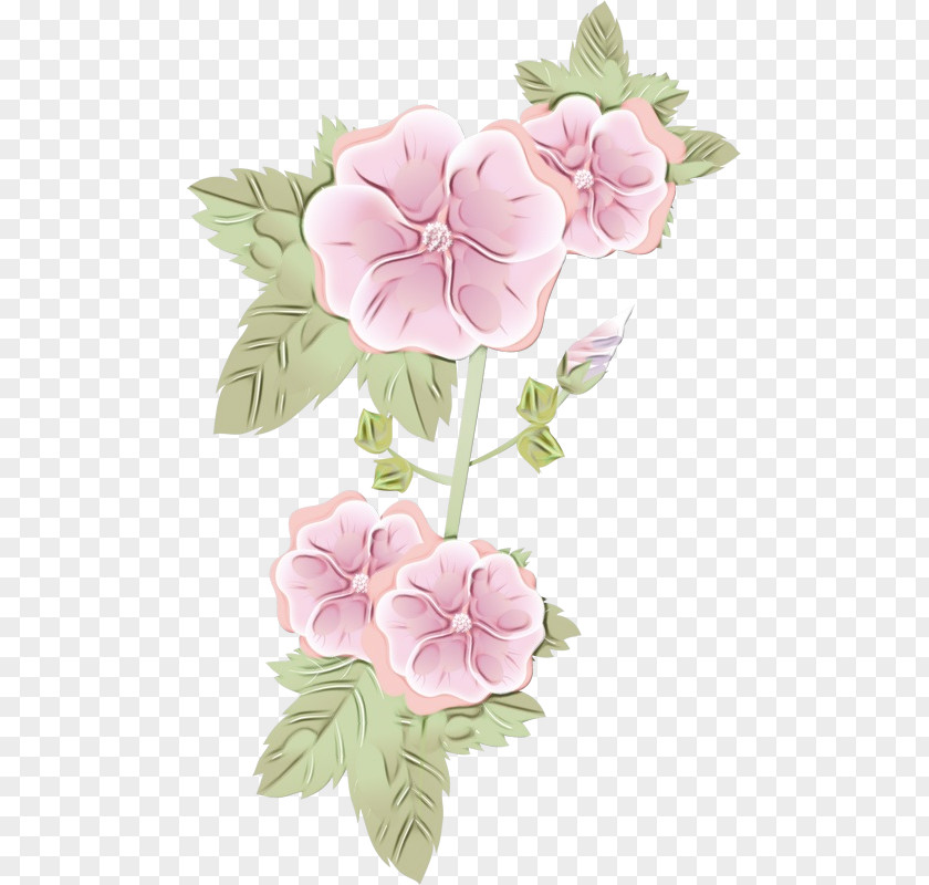 Geranium Impatiens Floral Design PNG