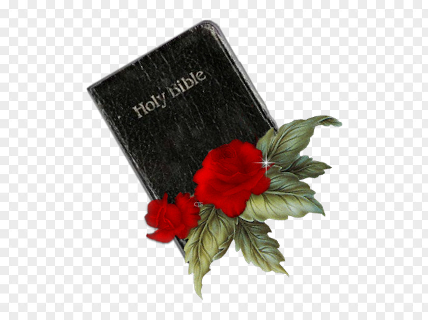 God Pastor Message Bible Protestantism PNG