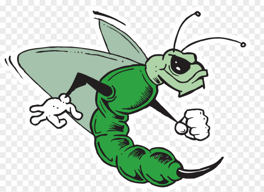 Insect Green Hornet Kato Comics PNG