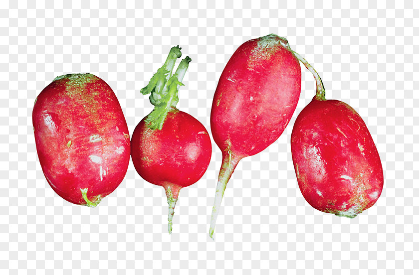 Plant Vegetables Garden Radish Strawberry Vegetable Carrot PNG