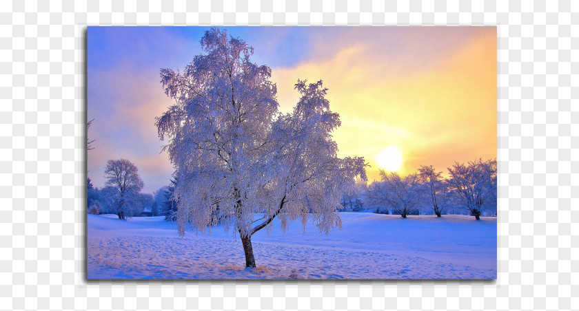 Winter Landscape Desktop Wallpaper Snow Nature PNG