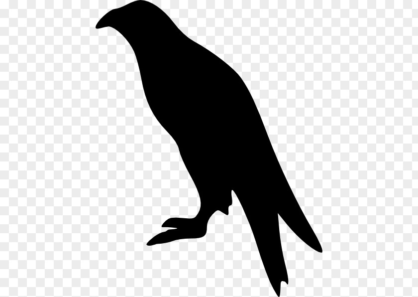 Bird SitTING Bald Eagle Silhouette Clip Art PNG