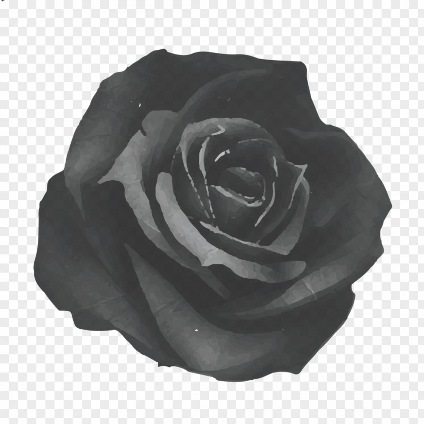 Black Rose Art PNG