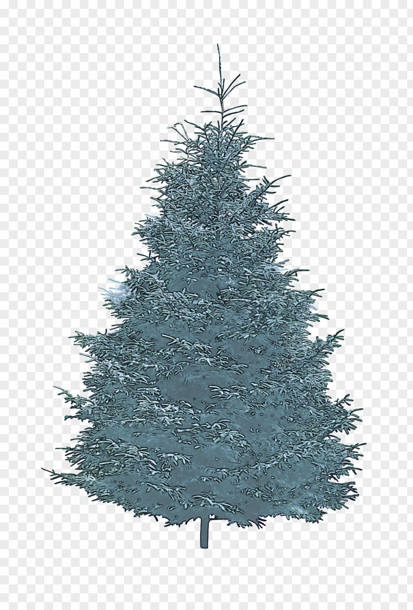 Christmas Tree PNG