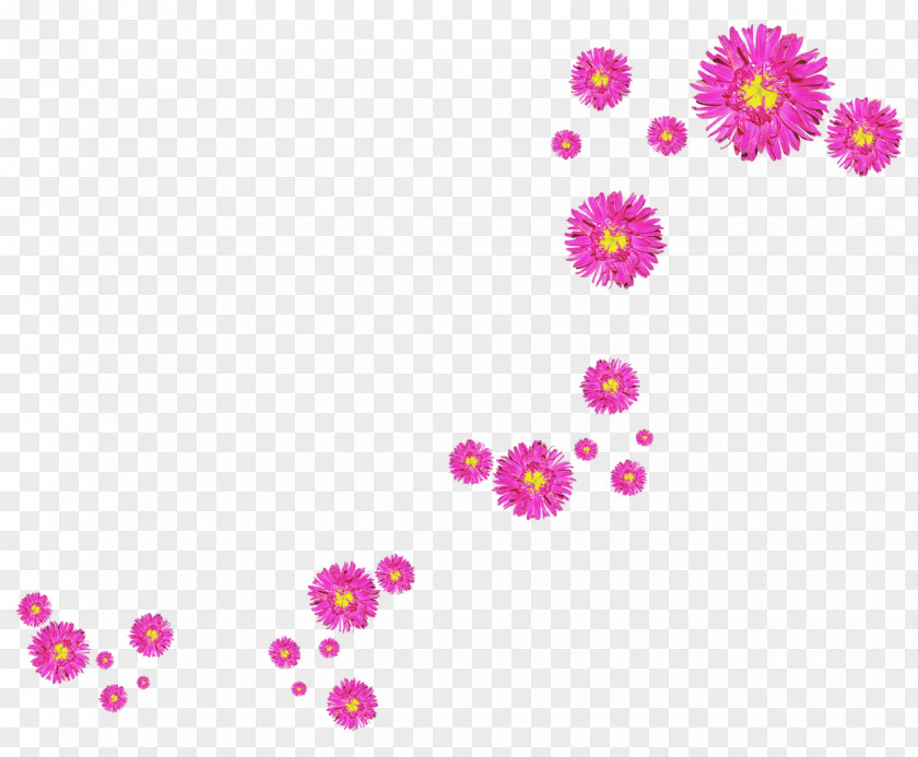 Flower Floral Design Clip Art PNG