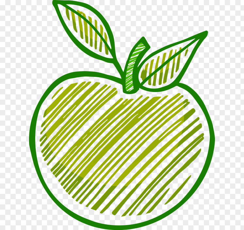 Macbook Drawing MacBook Apple Clip Art PNG