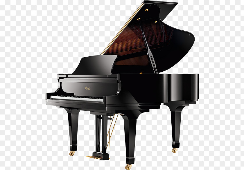 Piano Steinway & Sons Fortepiano Hall Musical Instruments PNG