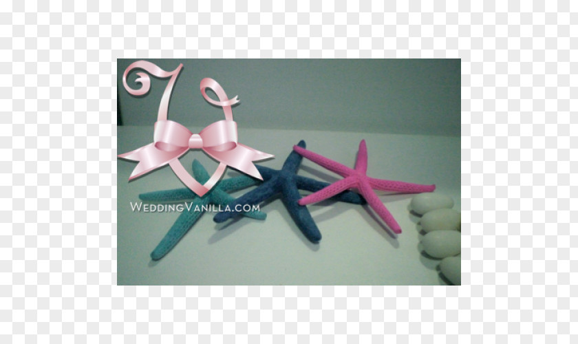 Starfish Bomboniere Place Cards Marriage White PNG