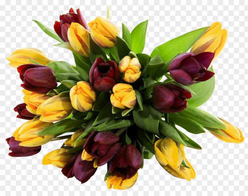 Yellow And Red Tulips Transparent Picture Flower Bouquet Wallpaper PNG