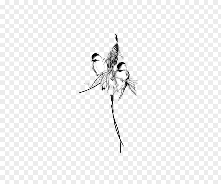 Bird Flight Black And White PNG