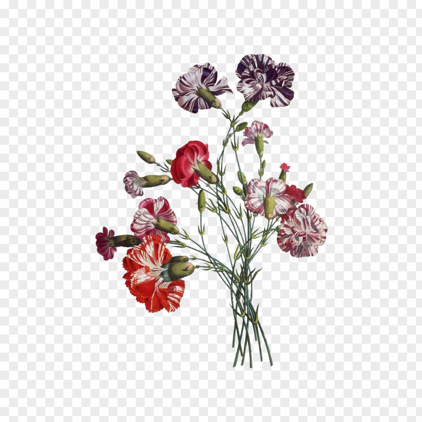 Bouquet Of Flowers Paper Flower Drawing Vintage Clothing PNG