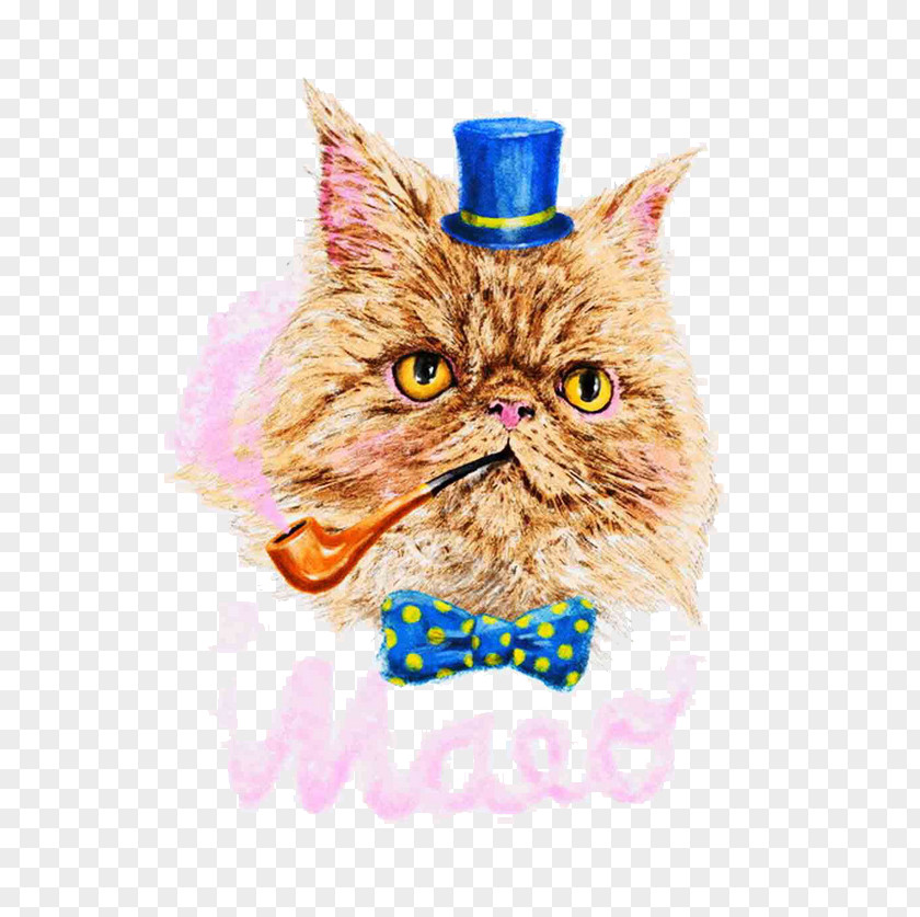 Hand-painted Vintage Illustration Garfield Whiskers Cat PNG