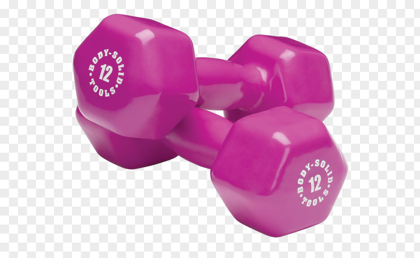 Hand Weights Dumbbells Dumbbell Exercise Equipment Fitness Centre Weight Training PNG