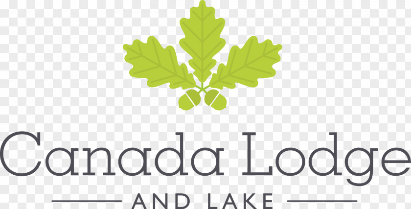 Hotel Wedding Fayre At Canada Lodge & Lake Accommodation PNG
