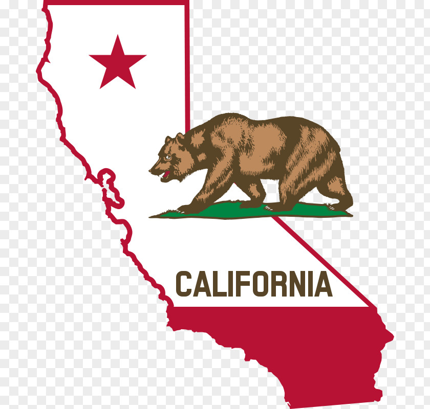 Bear Icons Governor Of California U.S. State Law Community Property PNG