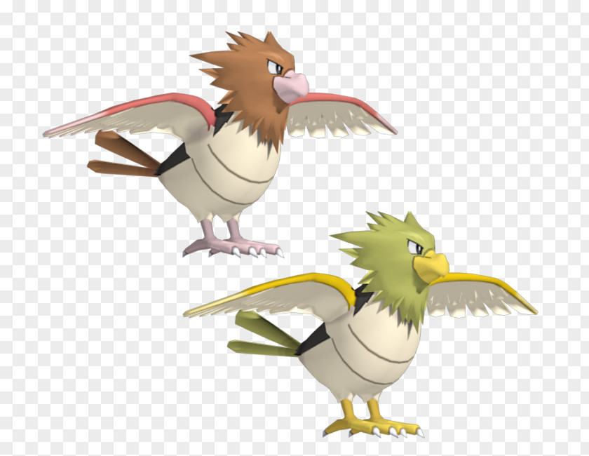 Chicken Spearow 3D Modeling Fearow Computer Graphics PNG