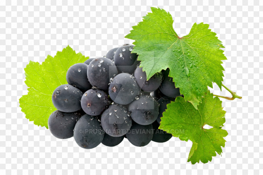 Grape Juice Wine Fruit Organic Food PNG