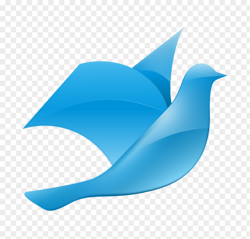 Illustrative Icon Columbidae Doves As Symbols Clip Art PNG