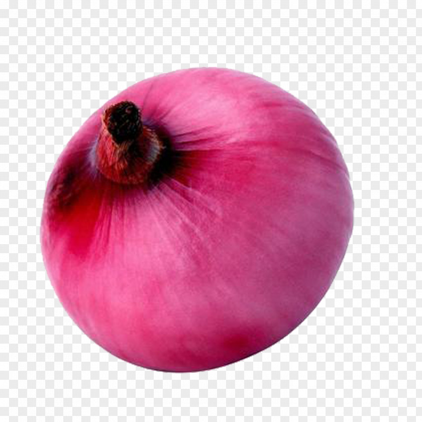 Onion Garlic Allium Fistulosum Mashed Potato Vegetable PNG