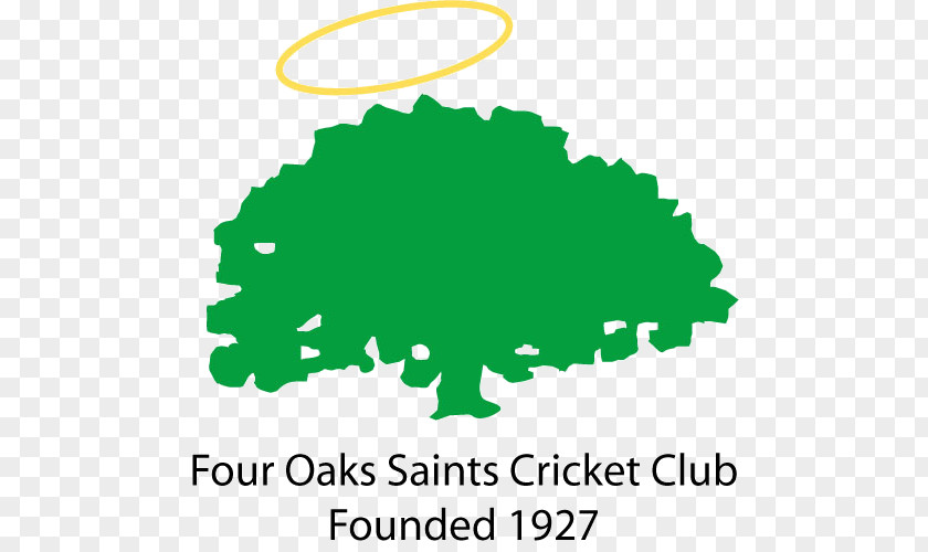 Playing Cricket Four Oaks, Birmingham Oaks Saints Club Jersey Team PNG
