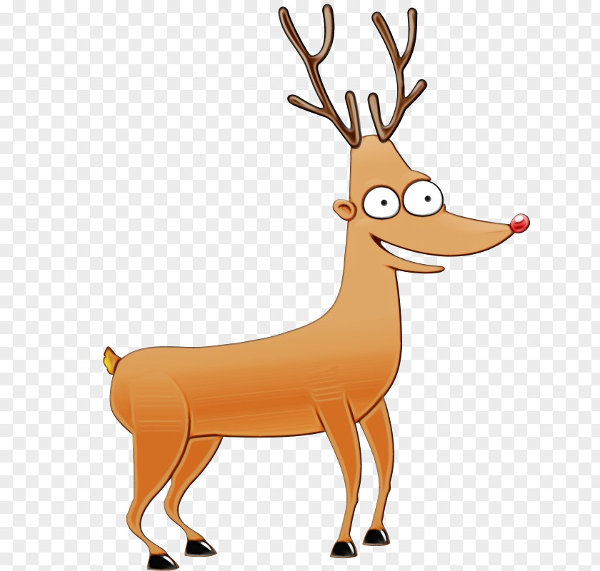 Roe Deer Elk Reindeer PNG