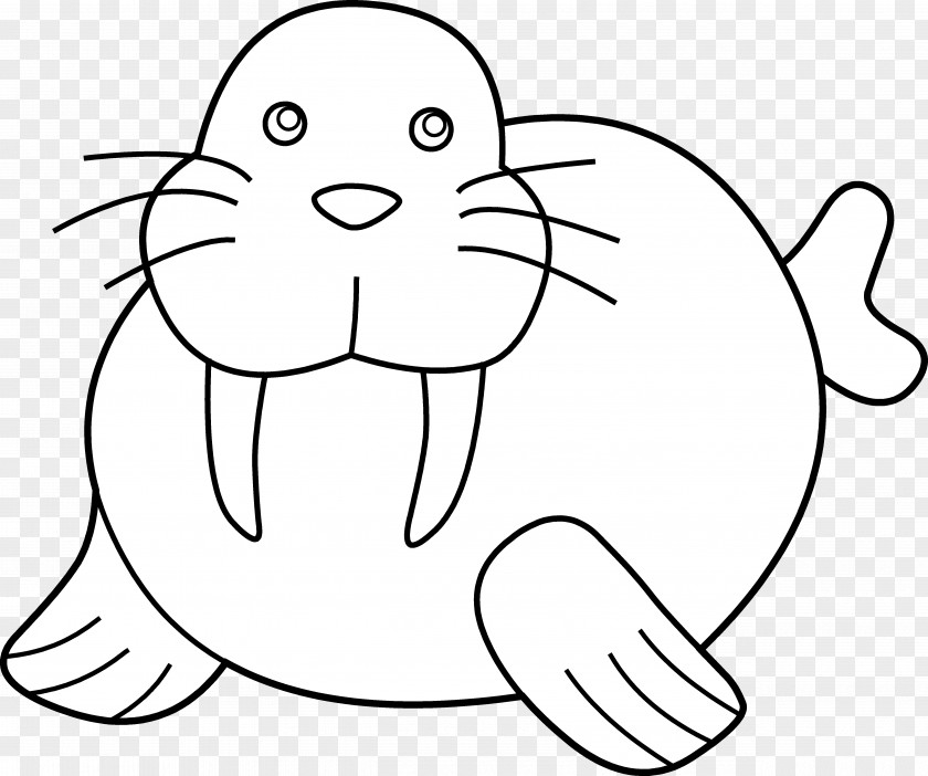 White Seal Cliparts Walrus Coloring Book Puppy Child Clip Art PNG