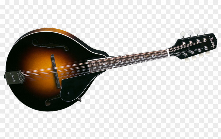 Acoustic Guitar Mandolin Banjo Tiple Acoustic-electric PNG