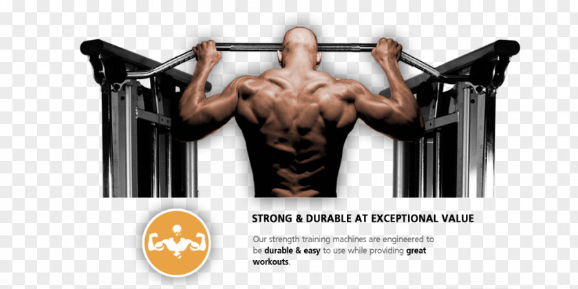 Bodybuilding Physical Fitness Exercise Centre Weight Training Strength PNG