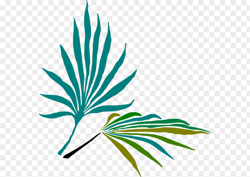 Leaf Frond Arecaceae Palm-leaf Manuscript Clip Art PNG