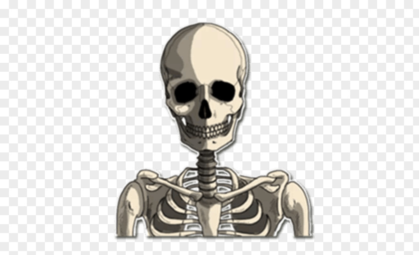 Skeleton Head 骷髅 Sticker Skull Telegram PNG