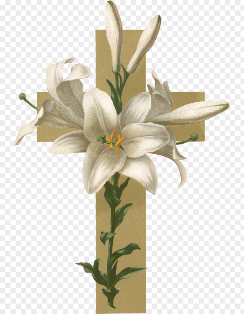 Lily Easter Christian Cross Flower Funeral Clip Art PNG