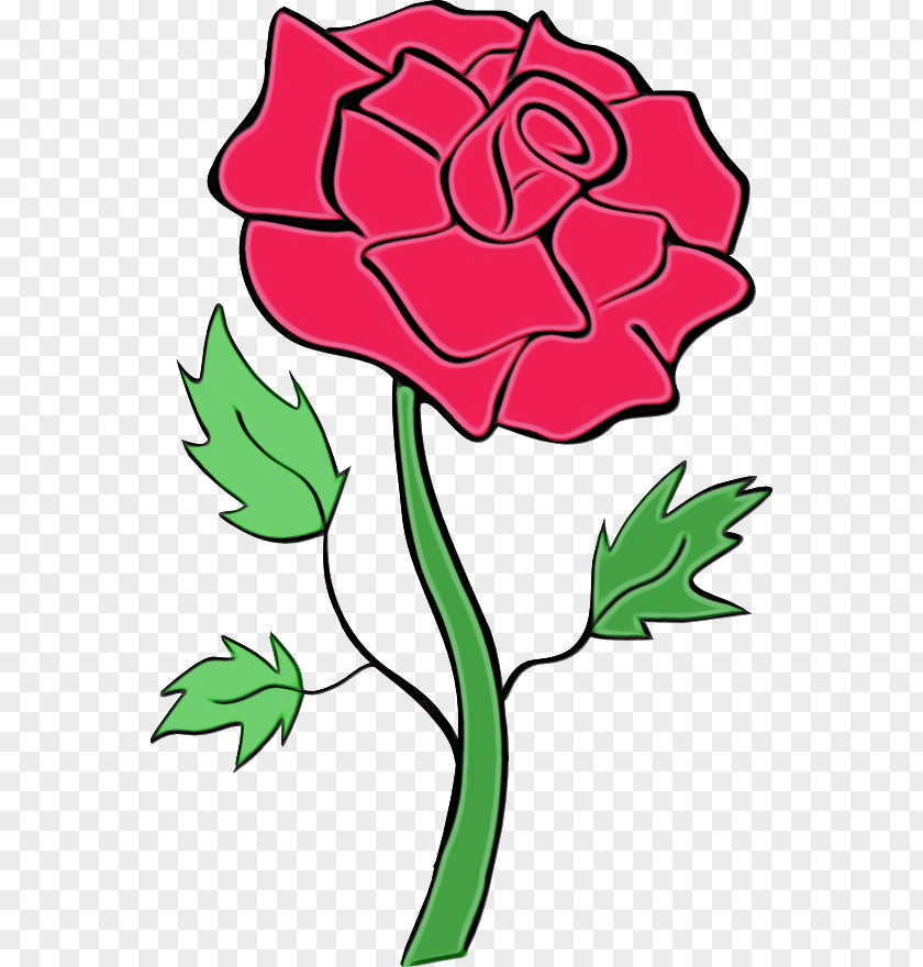 Line Art Hybrid Tea Rose Flower PNG