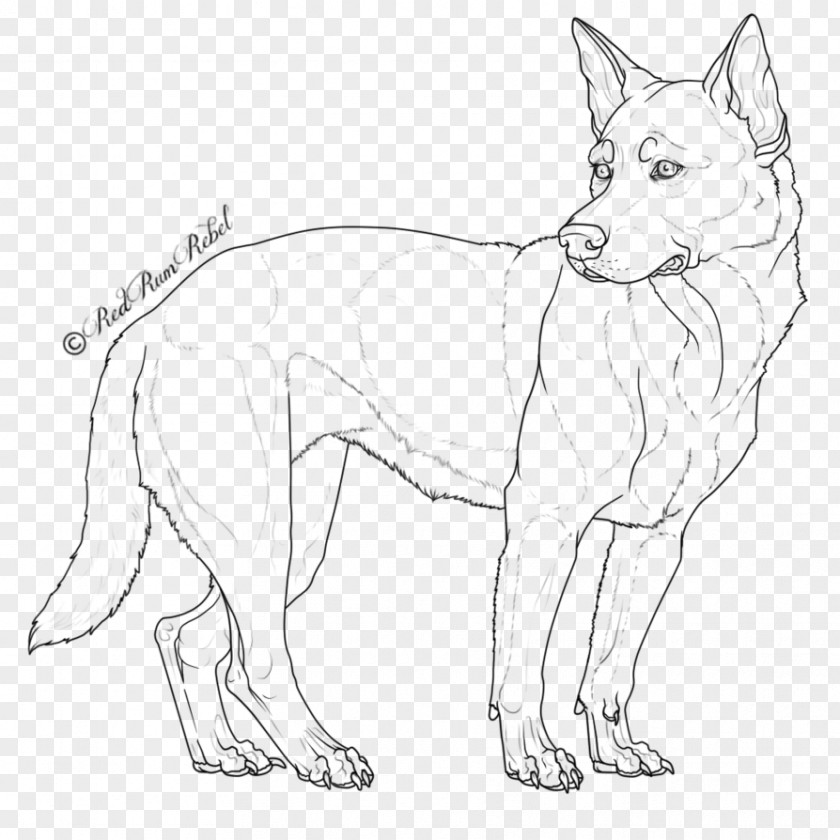 Puppy Dog Breed Australian Cattle Shepherd Line Art German PNG