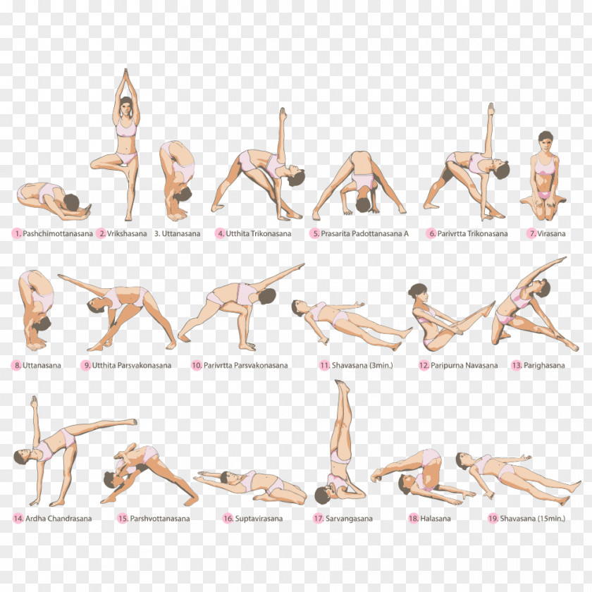 Vector Yoga Physical Exercise Asana Fitness PNG