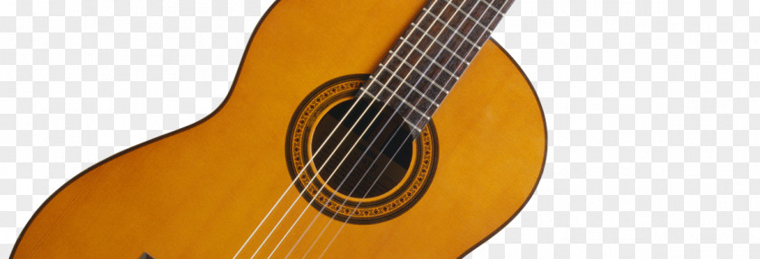 Dance Poster Acoustic Guitar Bass Tiple Cuatro Cavaquinho PNG