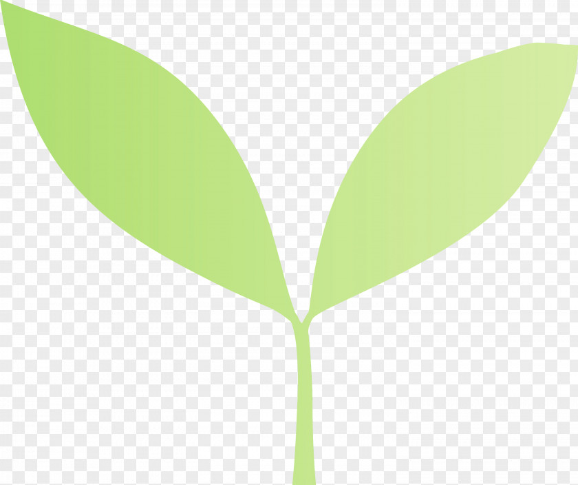 Leaf Green Plant Flower Tree PNG