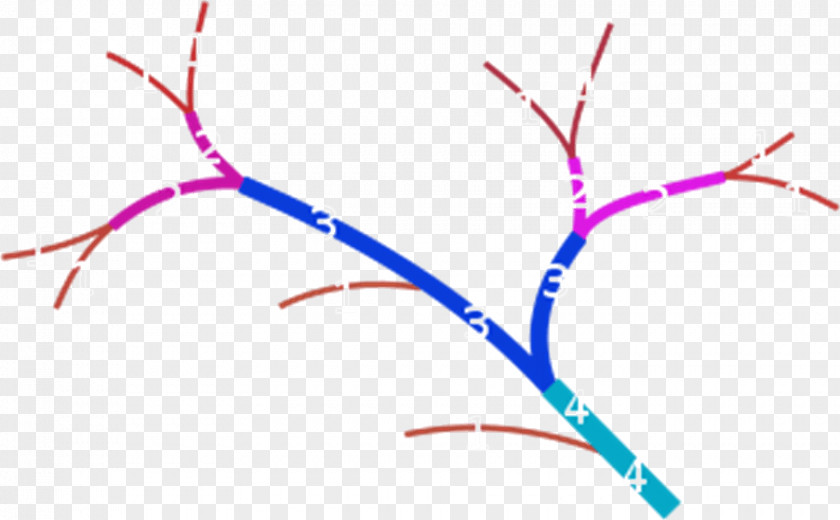 Math Tree Amazon River Stream Order Tributary PNG
