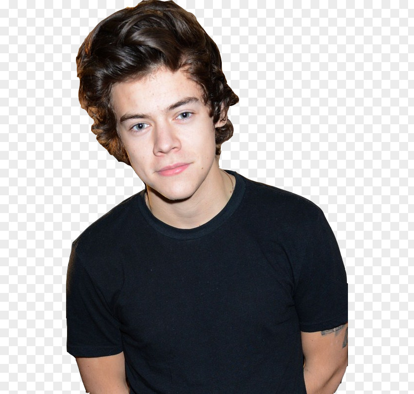 Sytle Harry Styles Sign Of The Times Musician One Direction Actor PNG