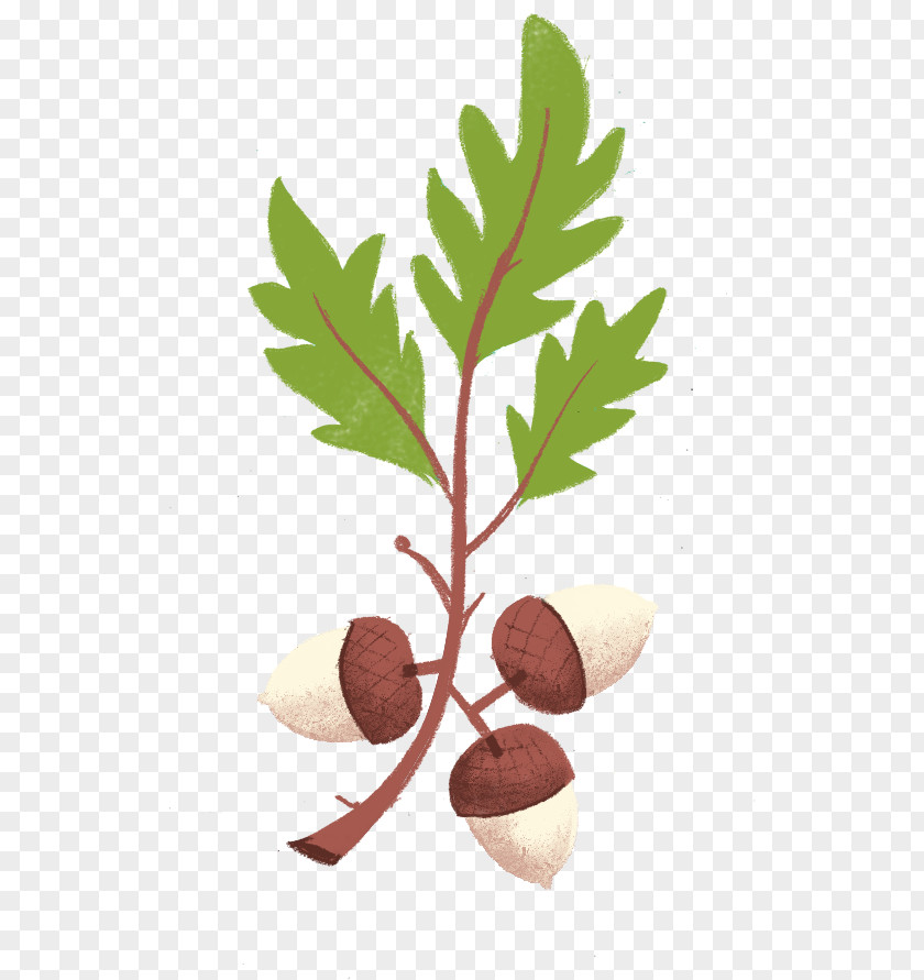 Tree Nut Allergy VY2 Flowerpot PNG