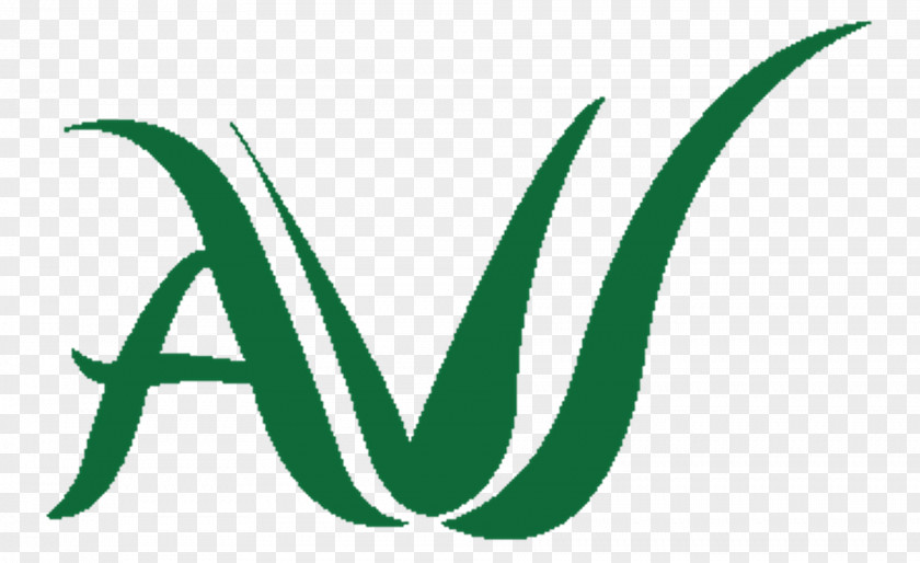 Aloe Vera Logo Graphic Design Leaf Font PNG