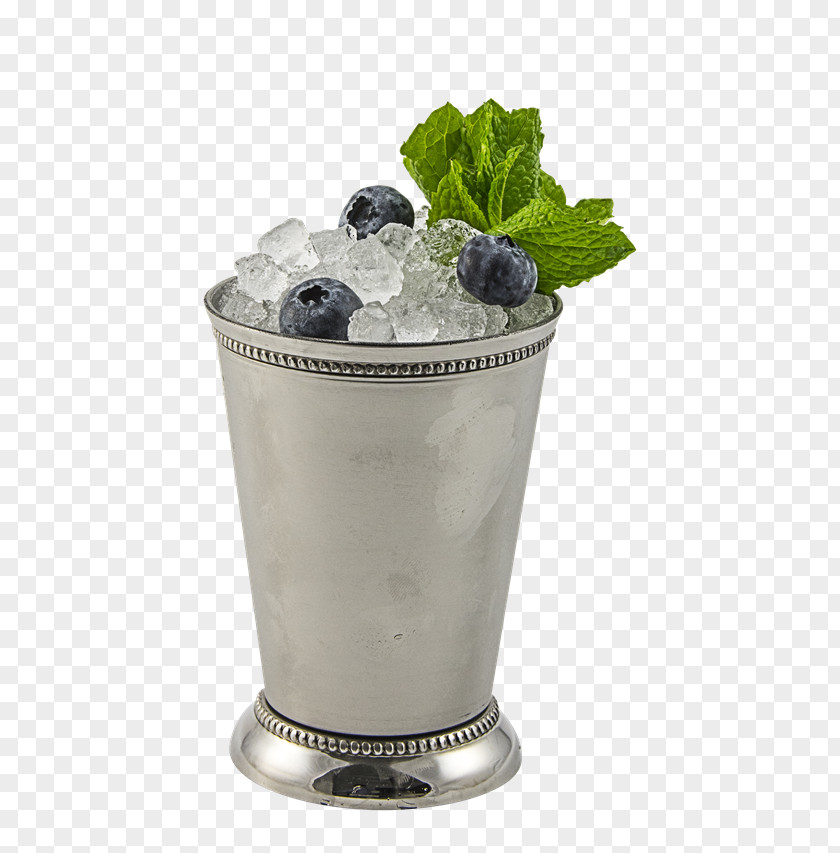 Cocktail Mint Julep Blueberry Monin, Inc. Recipe PNG