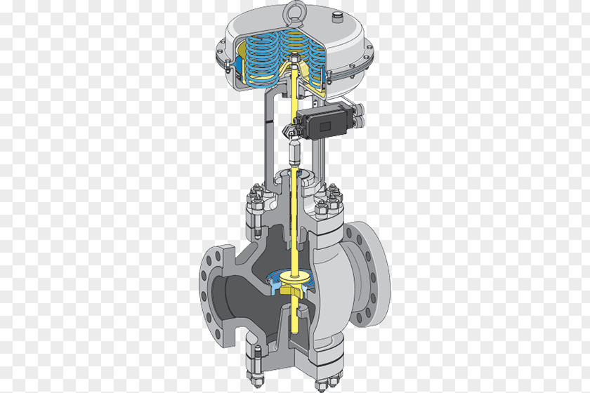 Control Valves Globe Valve Samson AG Controls Private Limited PNG