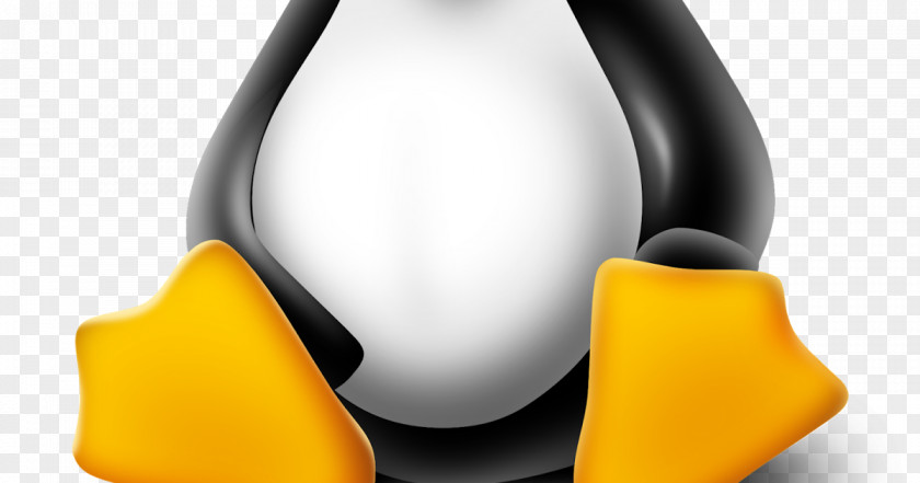 Linux Mint Snapshot Ubuntu Kernel PNG