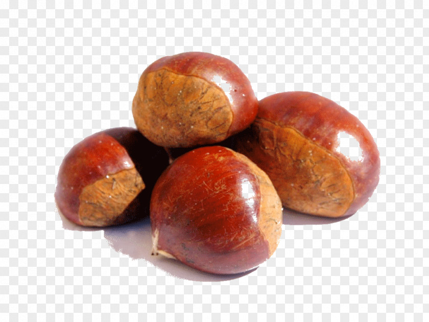 Chinese Chestnut Dried Fruit Food American Boletus PNG