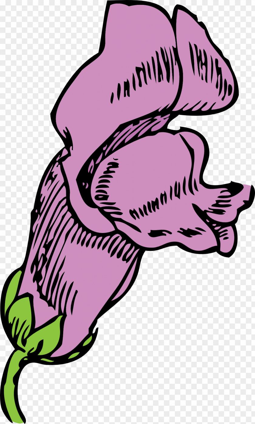 Eggplant Drawing Qualcomm Snapdragon Antirrhinum Majus Flower Clip Art PNG