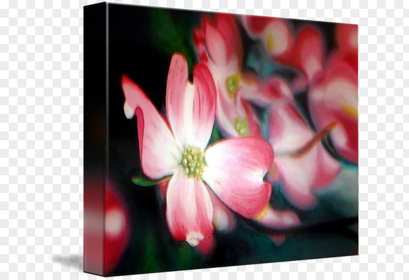 Painting Gallery Wrap Canvas Art Close-up PNG
