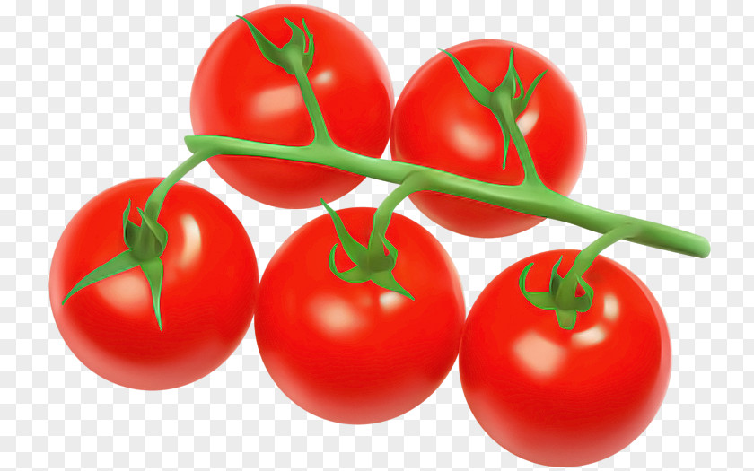 Plum Tomato Red PNG