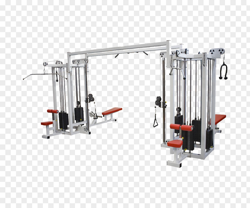 Fitness Centre Weight Training Exercise Equipment Physical PNG