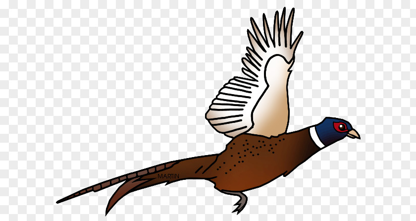 Pheasant Shooting Clip Art PNG